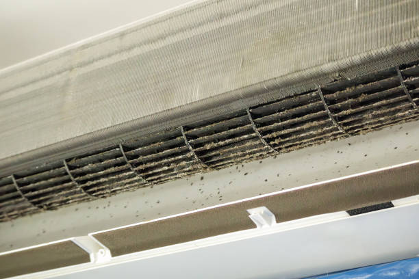 Ductwork Cleaning Services in Citrus Park, AZ