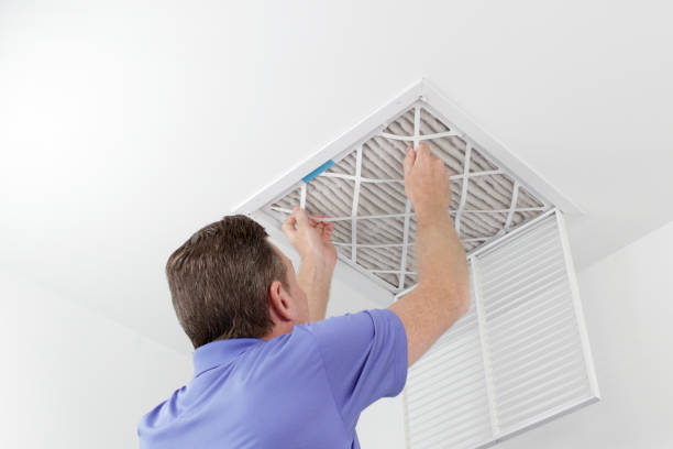 Reliable Citrus Park, AZ Airduct Cleaning Solutions